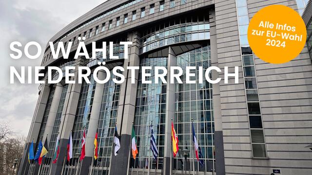 Live-Ticker zur EU-Wahl: Um 23 Uhr erwarten wir das vorläufige Ergebnis. | Foto: Fotocollage: Jennifer Reisner
