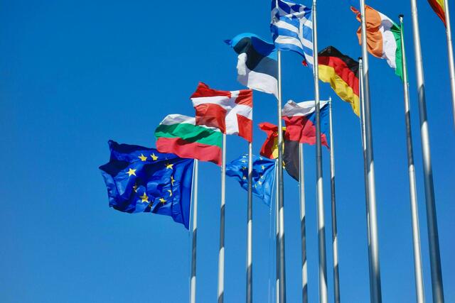 Am 9. Juni 2024 fand die EU-Wahl auch in Österreich statt. | Foto: Antoine Schibler