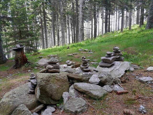 Hinunter gehen wir den Schindlsteig. Am gesamten Wanderweg sind uns unzählige Steintürmchen untergekommen. Ein Glückstürmchen hab ich auch wieder gebaut