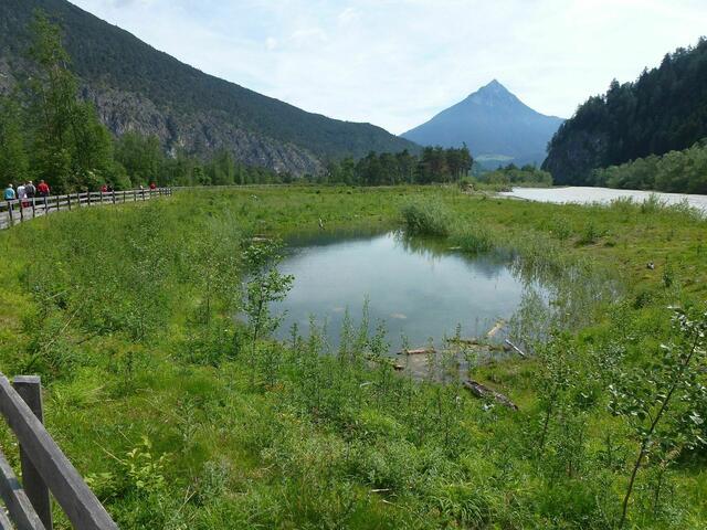Die Grünen Imst sprechen sich für den Erhalt der Milser Au aus. | Foto: Archiv