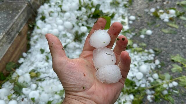 Foto: ZOOM.TIROL