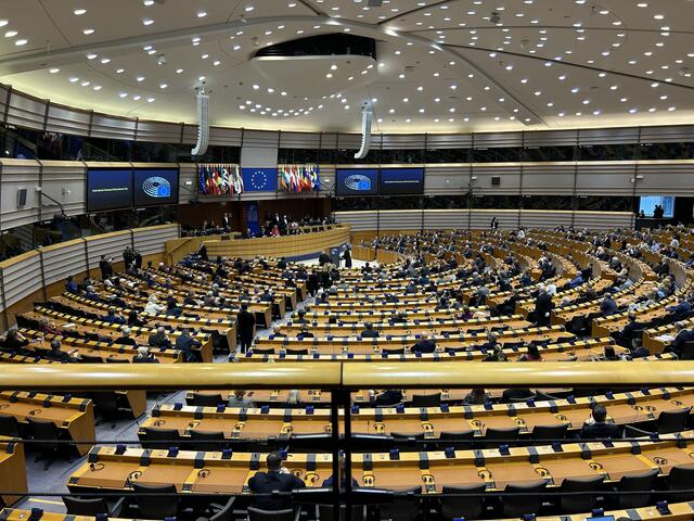 Die Scheibbser sind zu den Urnen geschritten, um ihre Stimmen für die Europa-Wahlen abzugeben. | Foto: SKN