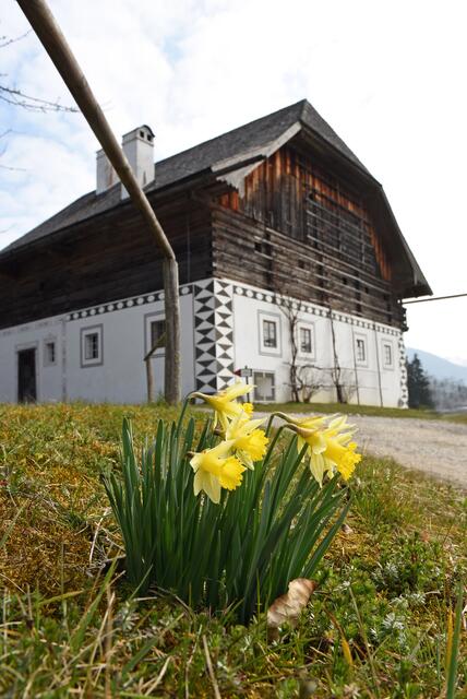 Foto: Wolfgang Spitzbart