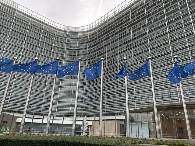 Die Scheibbser sind zu den Urnen geschritten, um ihre Stimmen für die Europa-Wahlen abzugeben. | Foto: SKN