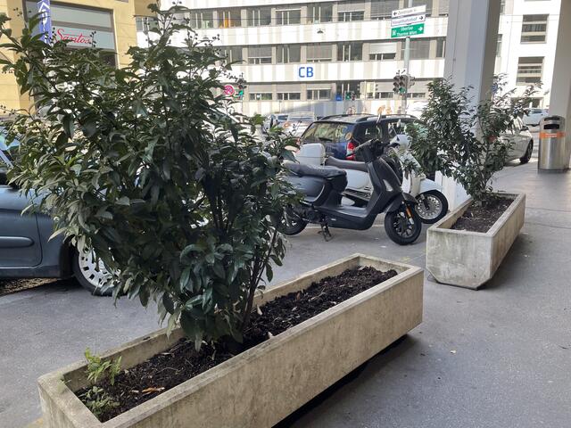 Foto: Salme Taha Ali Mohamed