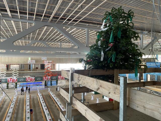 Bei der Gleichenfeier durfte der traditionelle Baum nicht fehlen. Der Nadelbaum symbolisiert Leben und Wachstum. | Foto: Katharina Nieschalk