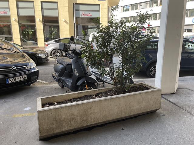 Foto: Salme Taha Ali Mohamed