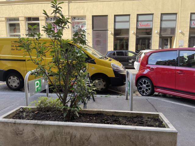 Foto: Salme Taha Ali Mohamed