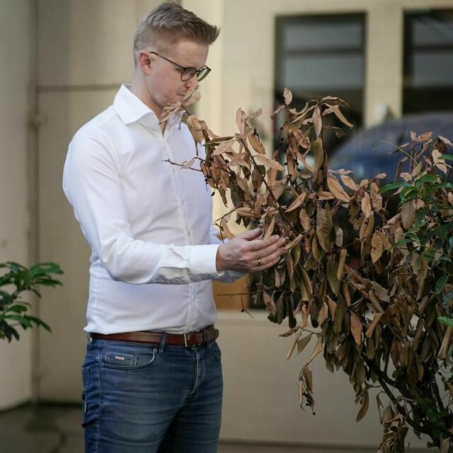 Einige Sträucher vor der städtischen Bücherei Wieden waren bereits verwelkt. Eine Anrainerin rief deswegen Alarm.  | Foto: Grüne Wieden