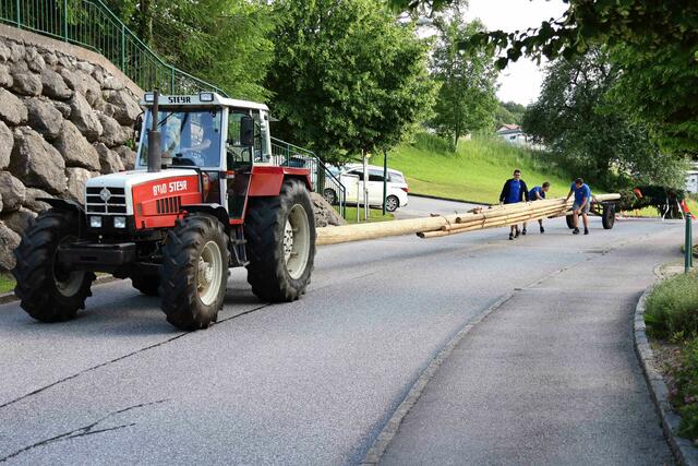 Hinter den Dieben der gestohlene Maibaum von Behamberg.