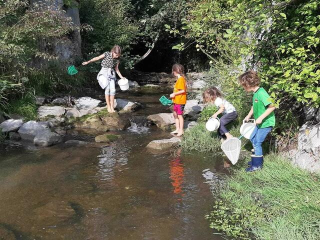 Auch in Gablitz ist man in der Natur unterwegs. | Foto: Gemeinde Gablitz