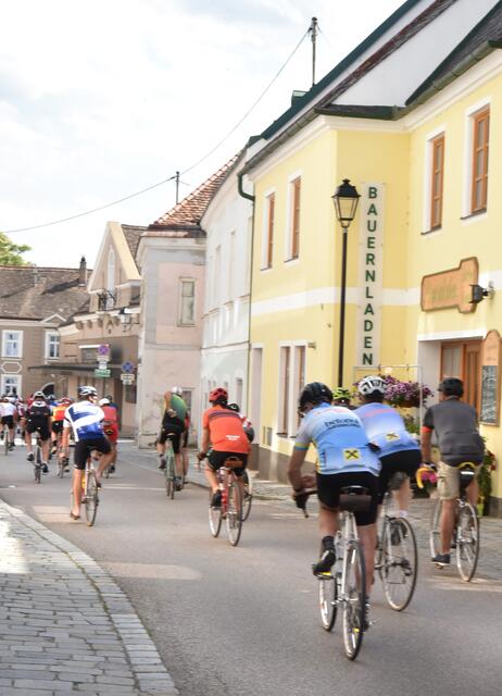 Foto: Herbert Schleich
