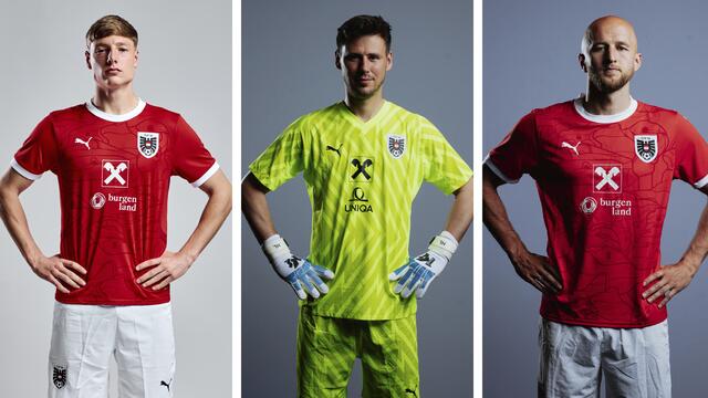 OÖ-Power im Nationalteam: Alexander Prass, Heinz Linder und Gernot Trauner fiebern der Europameisterschaft in Deutschland entgegen.  | Foto: ÖFB/Kelemen 