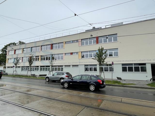 Foto: Lisa Kammann