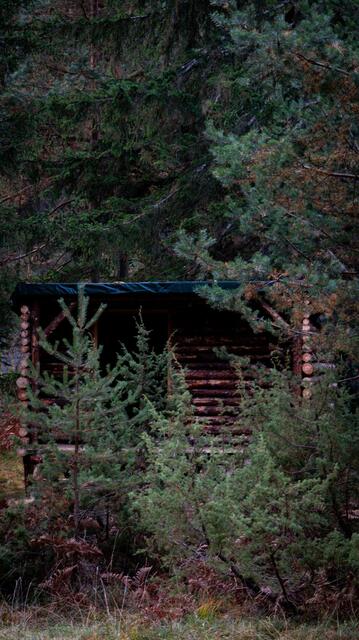 Das Tarrenzer Waldcamp ist ein Areal voller Rätsel und mystischer Erscheinungen. | Foto: Privat