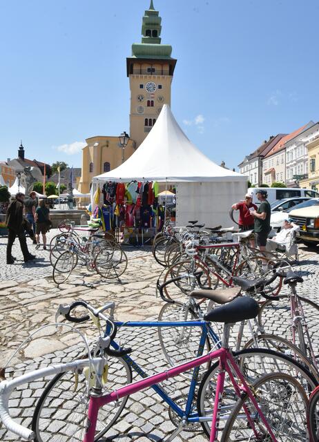 Foto: Herbert Schleich