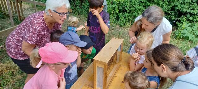 Bei Imker Bieno lernt man einiges Neues. | Foto: Gemeinde Gablitz