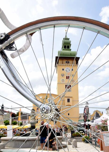 Foto: Herbert Schleich