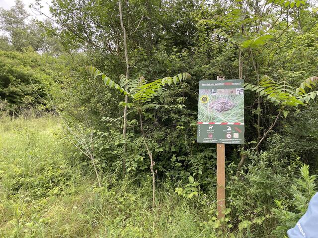 Foto: RMW/Luise Schmid