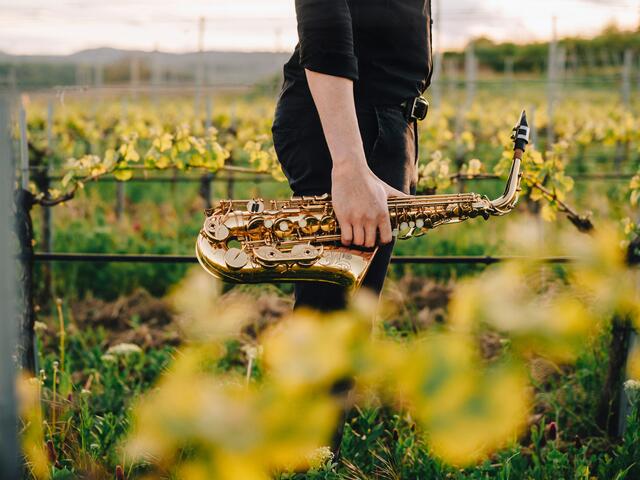 Foto: Niederösterreich Werbung/ Julius Hirtzberger