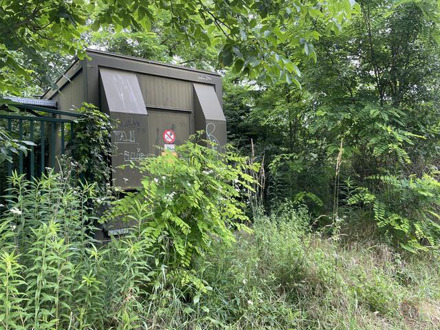 Foto: RMW/Luise Schmid