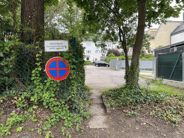 Foto: Lisa Kammann