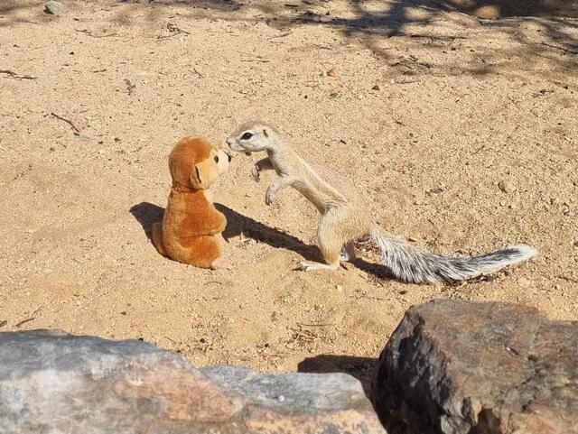 Foto: Helmut Tschellnig