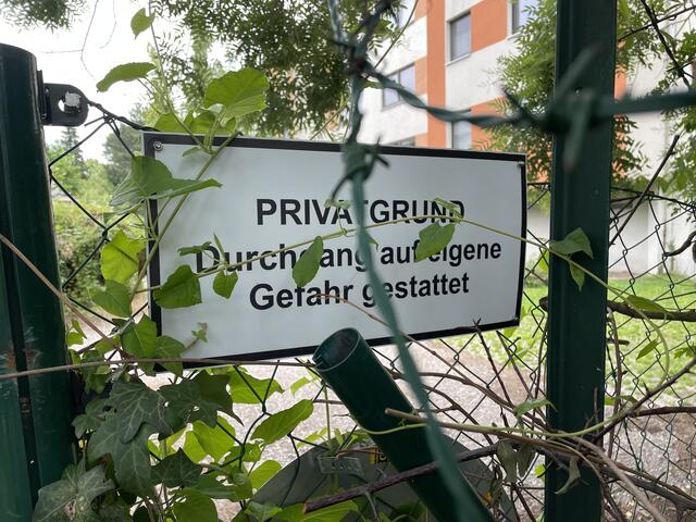 Foto: Lisa Kammann