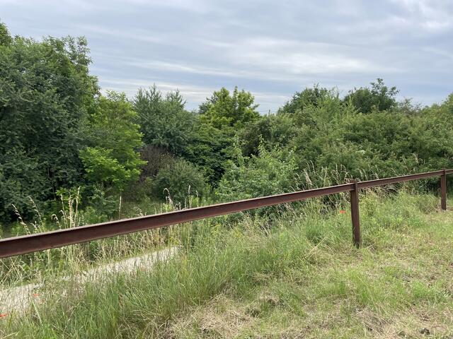 Foto: RMW/Luise Schmid