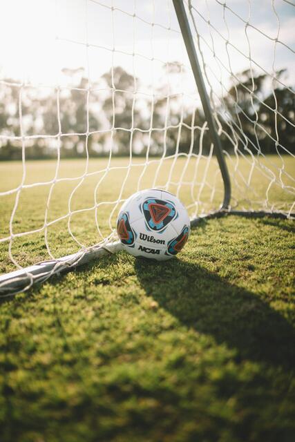Auf künftige Fußballtore im Währinger Park muss man wohl noch länger warten. Der Antrag wurde in den Umweltausschuss zugewiesen.  | Foto: Jack Monach/Unsplash