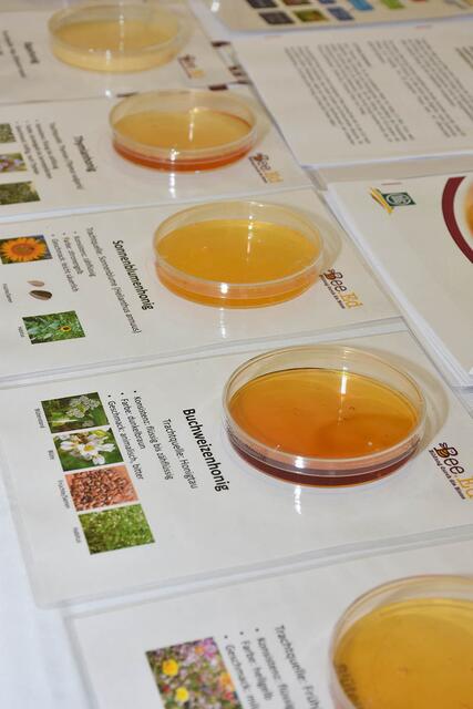 Foto: Matthias Merth/Am Himmel