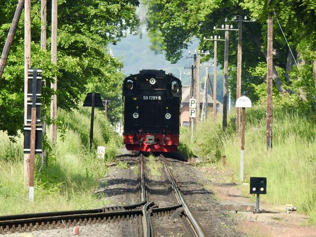 Der Rasende Roland