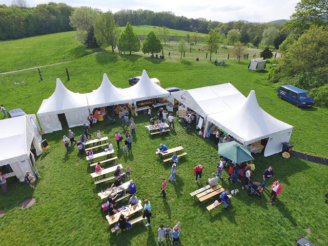 Döbling rückt die Biene in den Mittelpunkt. Am Wochenende findet das Bienenfest Am Himmel statt.  | Foto: Matthias Merth/Am Himmel