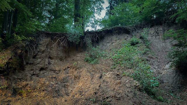 Aufgeweichte Bodensubstanz, eine mit Sand durchsetzte Böschung und überhängendes Wurzelwerk machen das Gebiet um die Unglücksstelle weiterhin zur Sperrzone. | Foto: KK