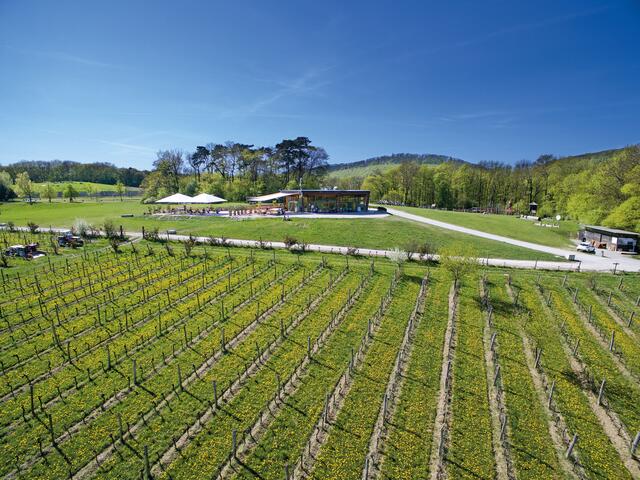 Foto: Matthias Merth/Am Himmel