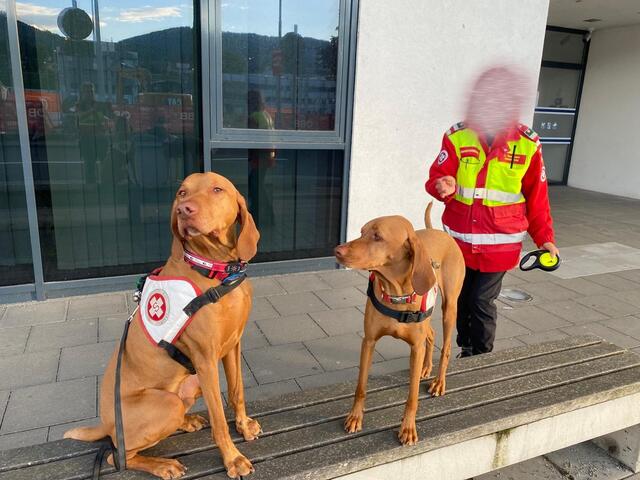 Am Donnerstag ging eine private Einsatzanforderung an die Mantrailgruppe der Samariterbund Rettungshundestaffel Kärnten. Ein 86-Jähriger war abgängig. | Foto: SB RHS Ktn