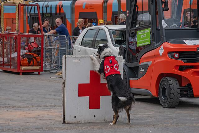 Foto: Klaus Weingartner