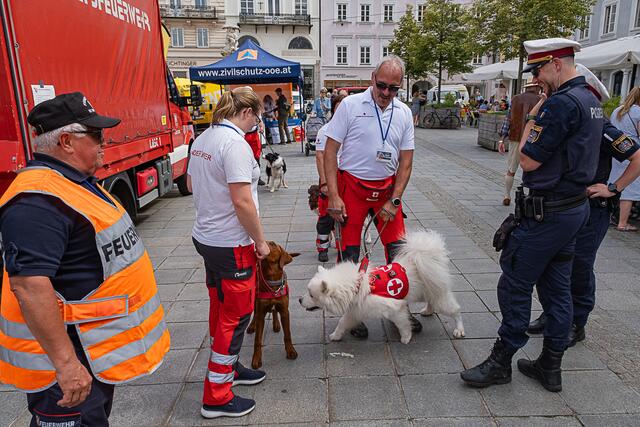 Foto: Klaus Weingartner