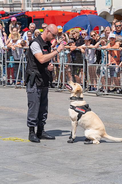 Foto: Klaus Weingartner