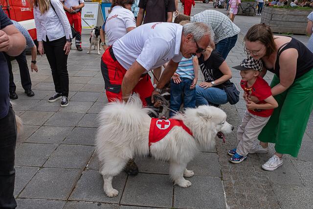 Foto: Klaus Weingartner