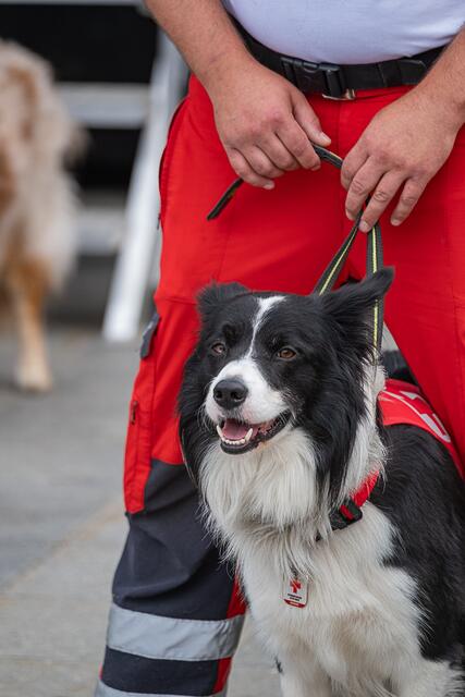 Foto: Klaus Weingartner