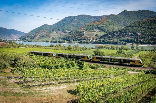 Die Wachaubahn ist die ideale Begleiterin, um das berühmte UNESCO Weltkulturerbe Wachau individuell zu entdecken | Foto: NB/Kerschbaummayr
