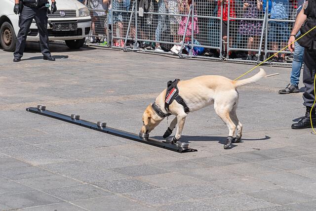 Foto: Klaus Weingartner