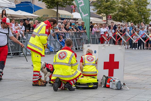 Foto: Klaus Weingartner