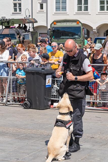 Foto: Klaus Weingartner