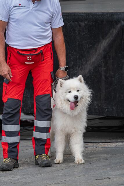 Foto: Klaus Weingartner