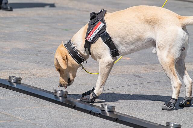 Foto: Klaus Weingartner