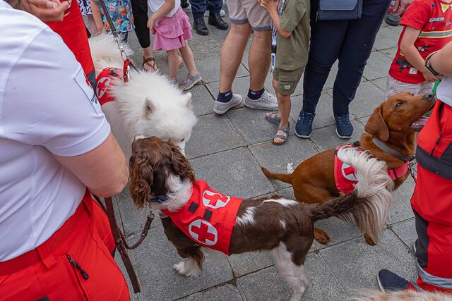 Foto: Klaus Weingartner