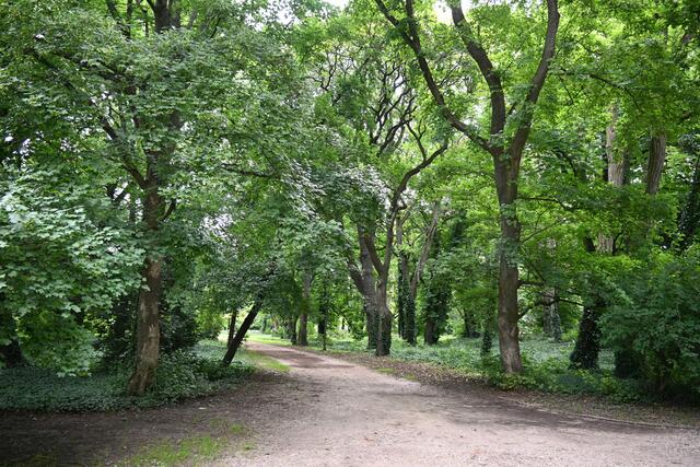 Der Schlosspark