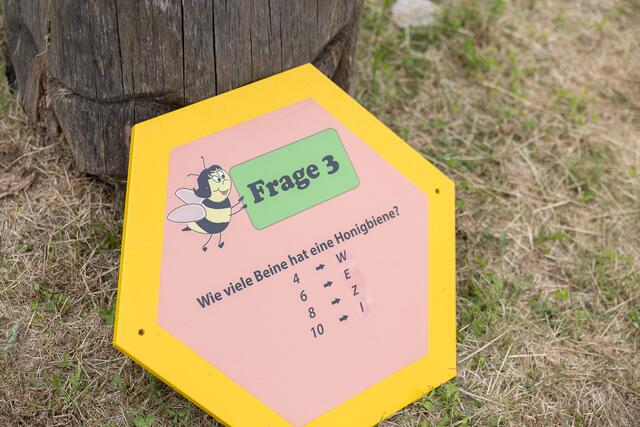 Foto: René Brunhölzl